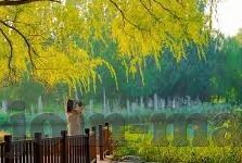 足球14场比分-14场比分全解析，数据背后的战术博弈与命运转折